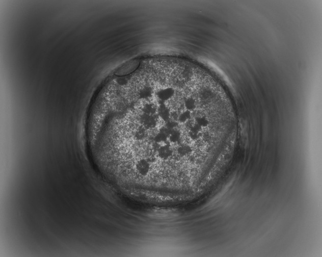 X0000094940487200712271616