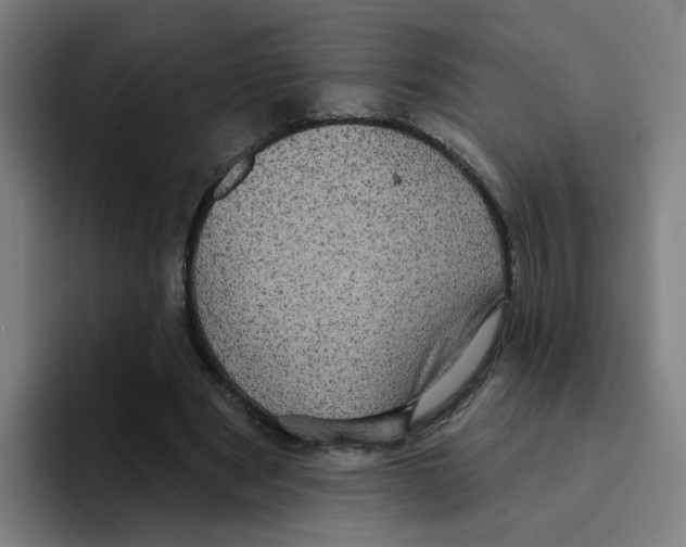 X0000094940489200712271616