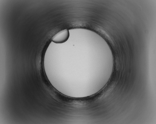 X0000094940490200712271616