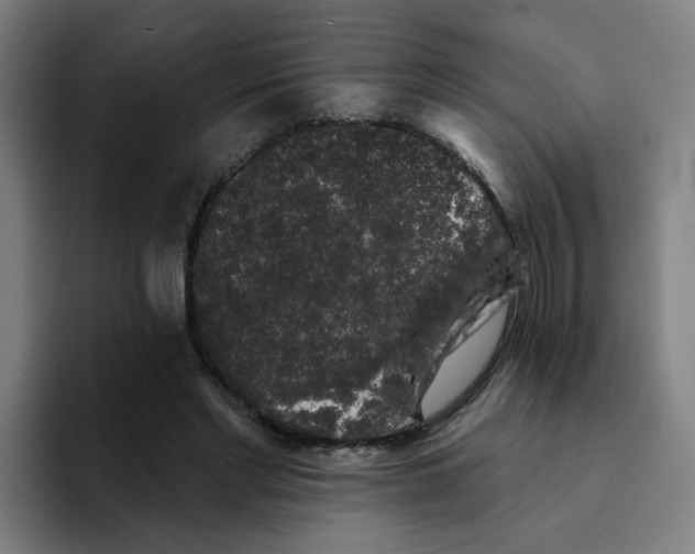 X0000094940493200712271616