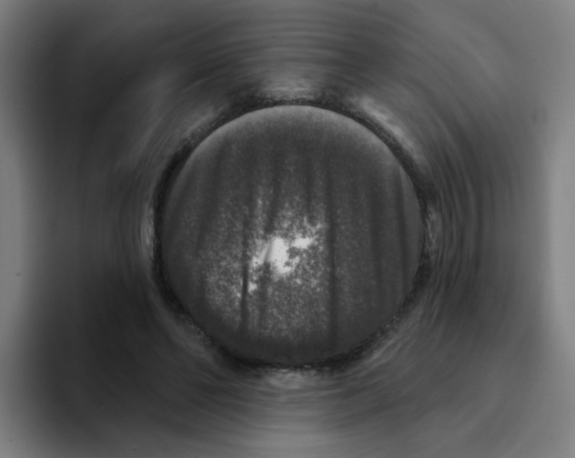 X0000094940494200712271616
