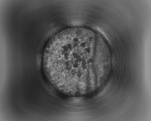 X0000094940495200712271616