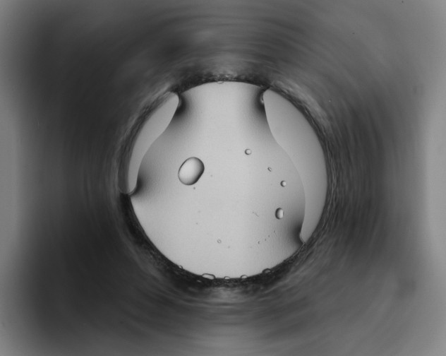 X0000094940496200712271616