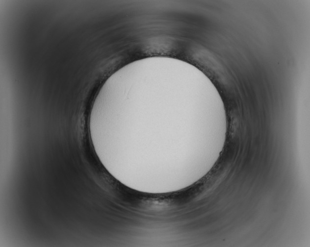 X0000094940498200712271616
