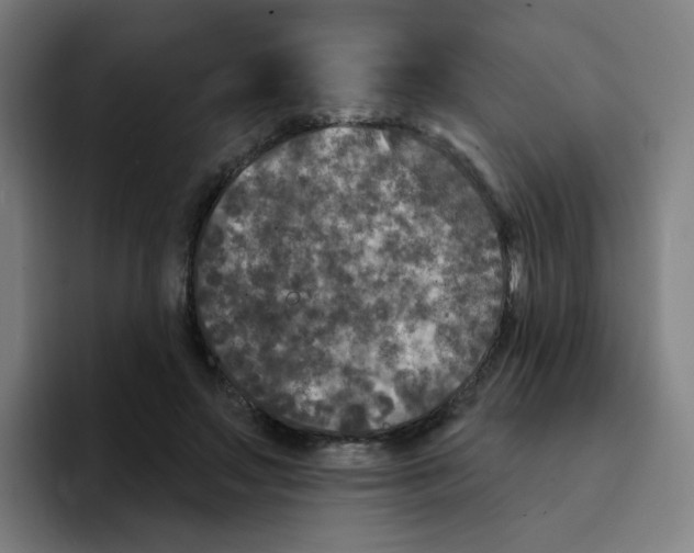 X0000094940499200712271616