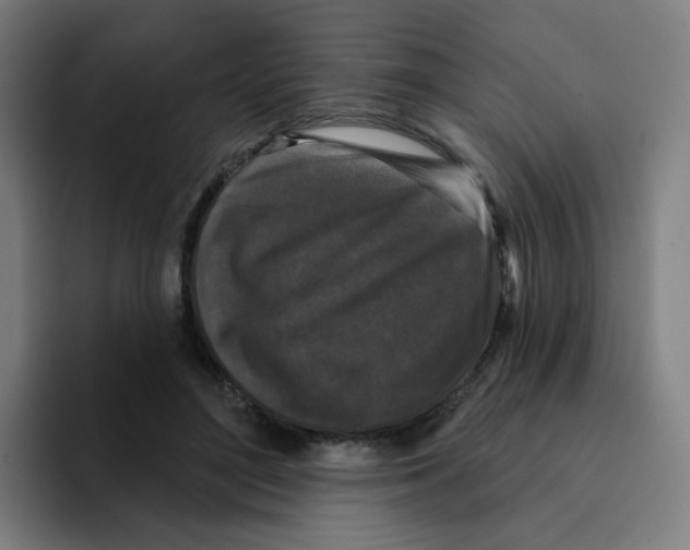 X0000094940500200712271616