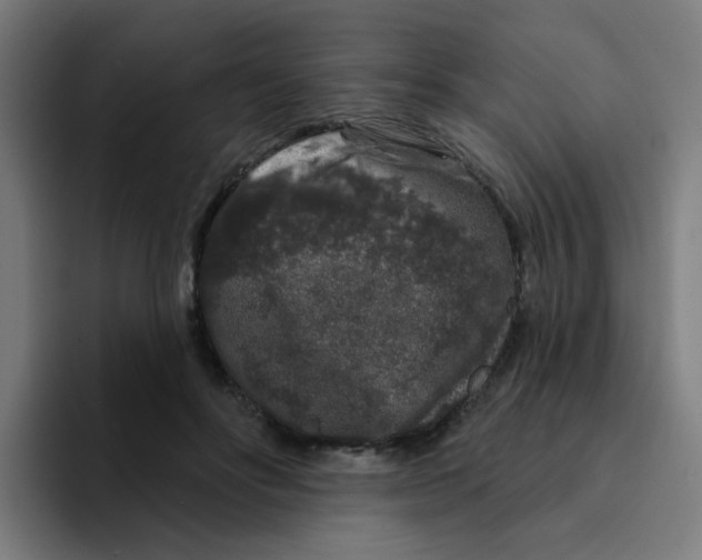 X0000094940502200712271616