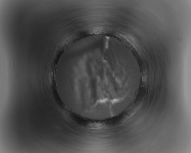 X0000094940503200712271616