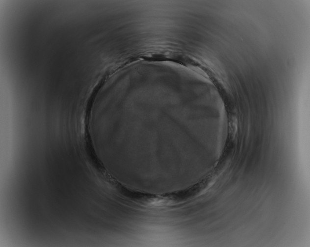 X0000094940504200712271616