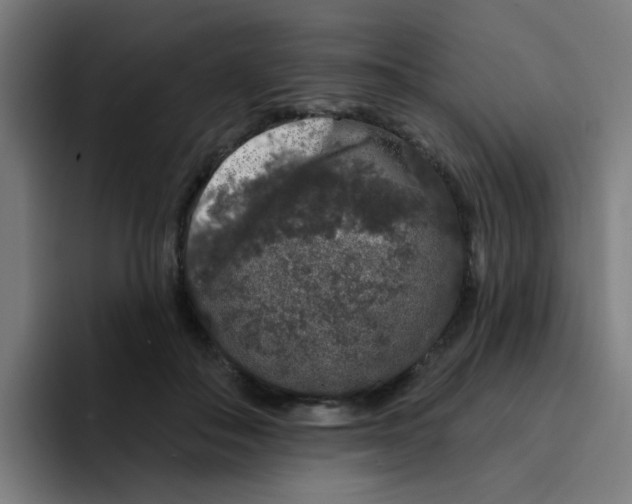X0000094940506200712271616