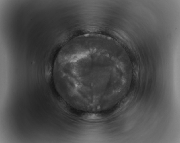 X0000094940507200712271615