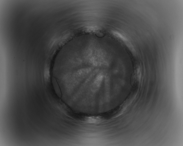 X0000094940508200712271615