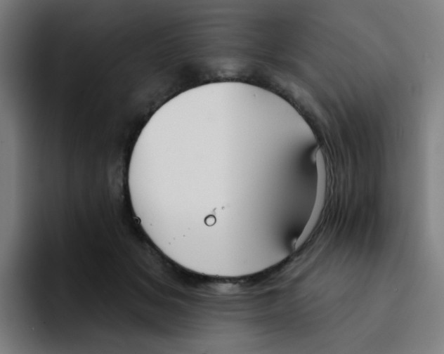 X0000094940509200712271615
