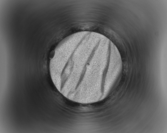 X0000094940510200712271615