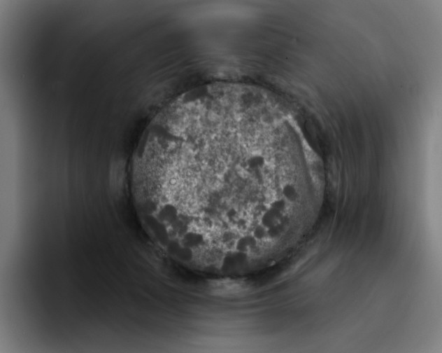 X0000094940511200712271615