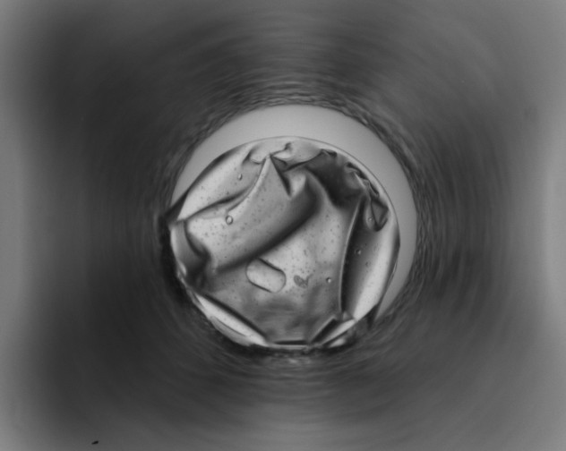 X0000094940512200712271615