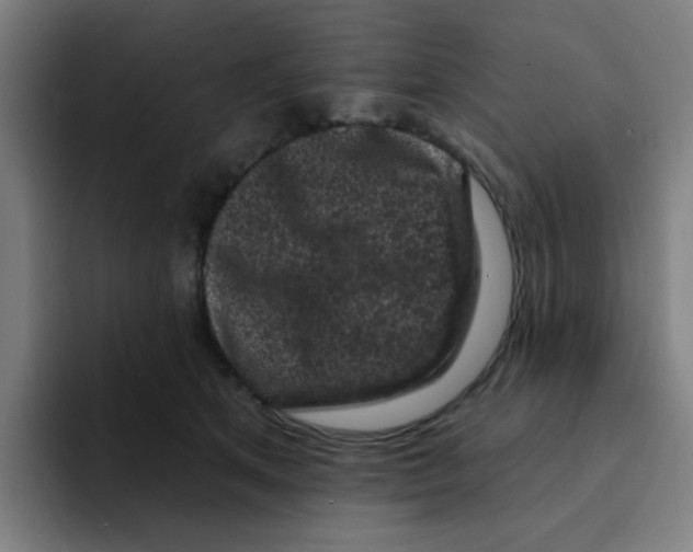 X0000094940513200712271615