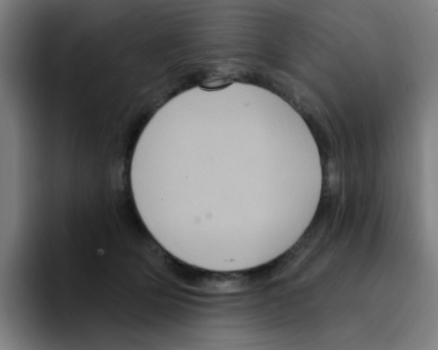 X0000094940514200712271615