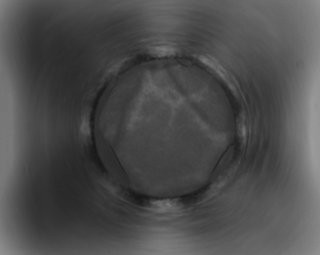 X0000094940516200712271615