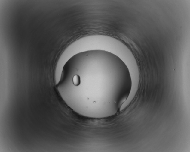 X0000094940517200712271615