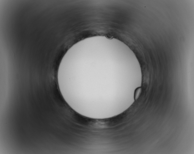 X0000094940518200712271615