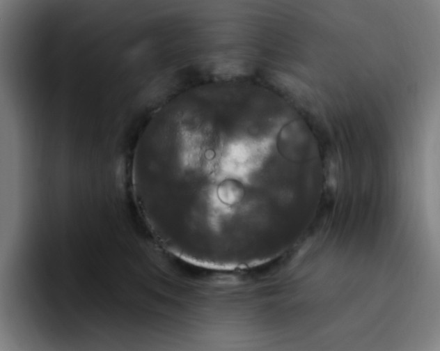 X0000094940519200712271615