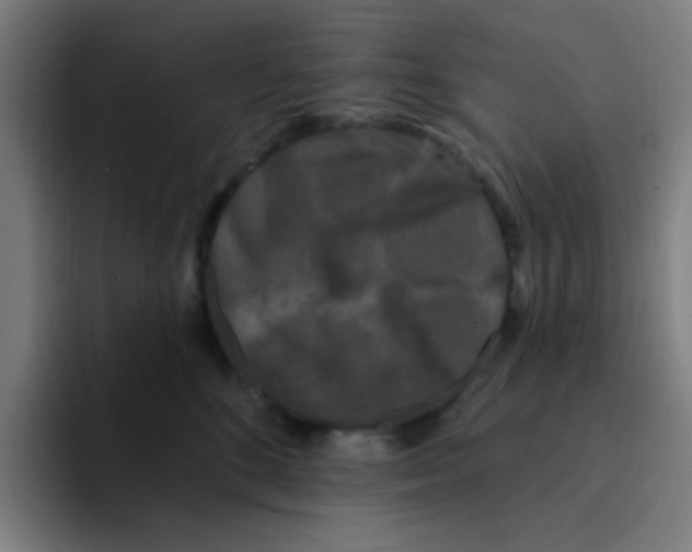 X0000094940520200712271615