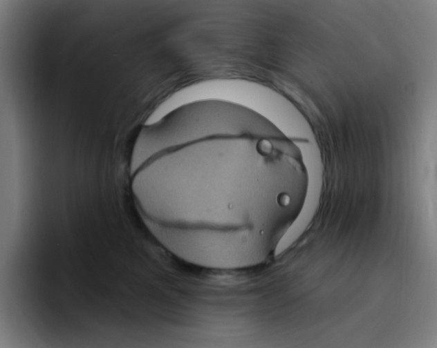 X0000094940521200712271615