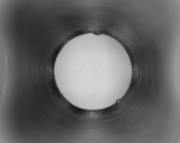 X0000094940522200712271615