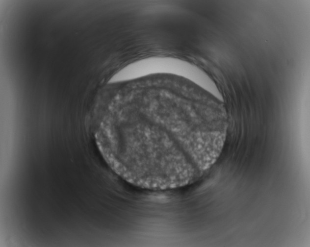 X0000094940523200712271615