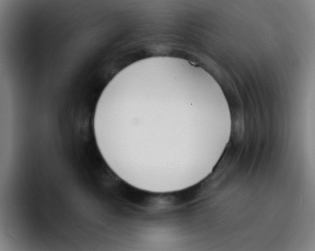 X0000094940525200712271615