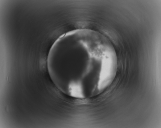 X0000094940526200712271615