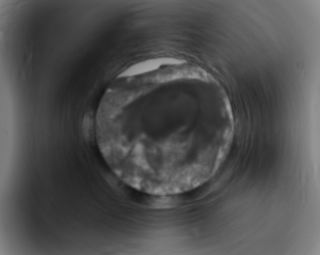 X0000094940527200712271615