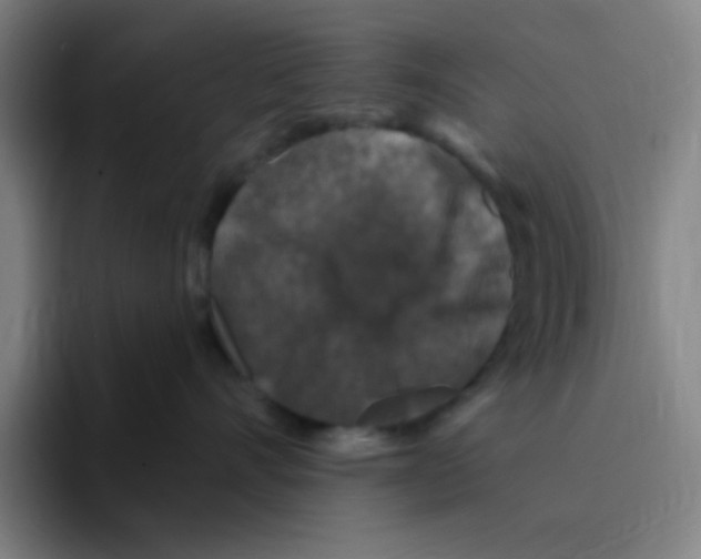 X0000094940528200712271615