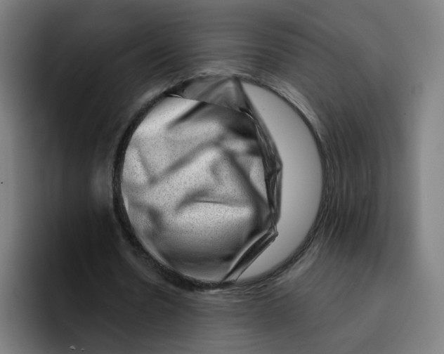 X0000094940530200712271615