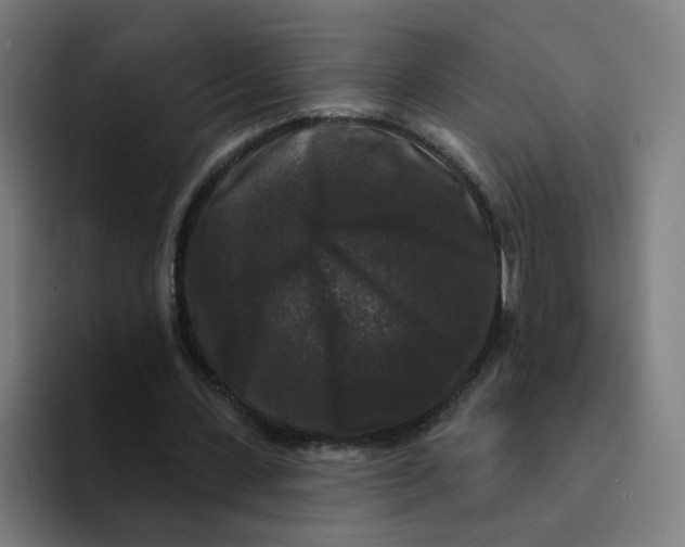 X0000094940531200712271615