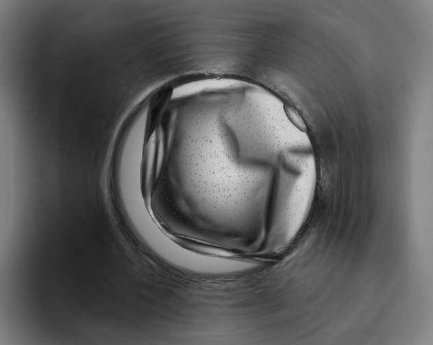 X0000094940532200712271615
