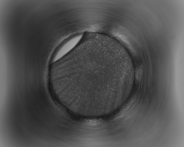 X0000094940540200712271615