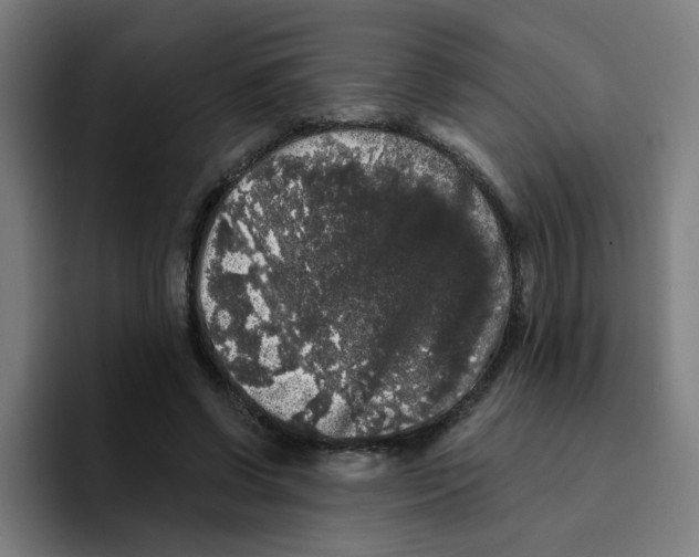 X0000094940542200712271615