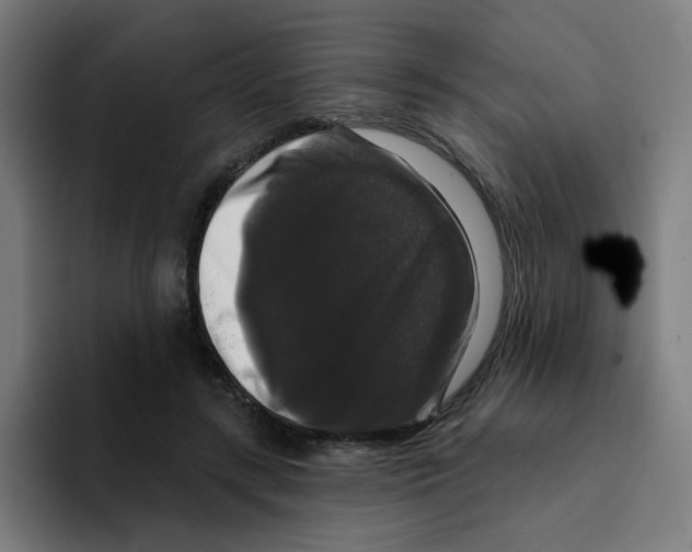 X0000094940547200712271615