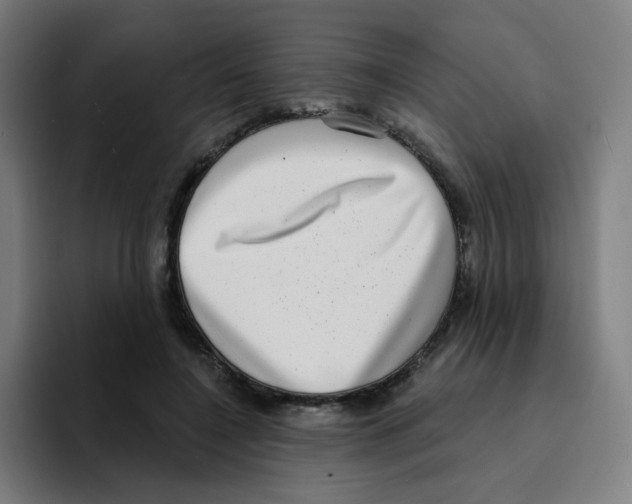 X0000094940548200712271615