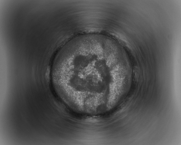 X0000094940550200712271615