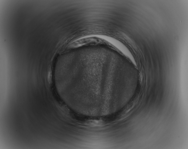 X0000094940552200712271615