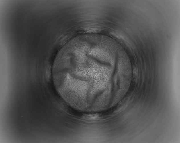 X0000094940554200712271615