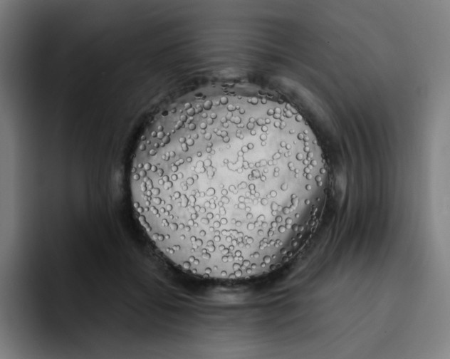 X0000094940556200712271615