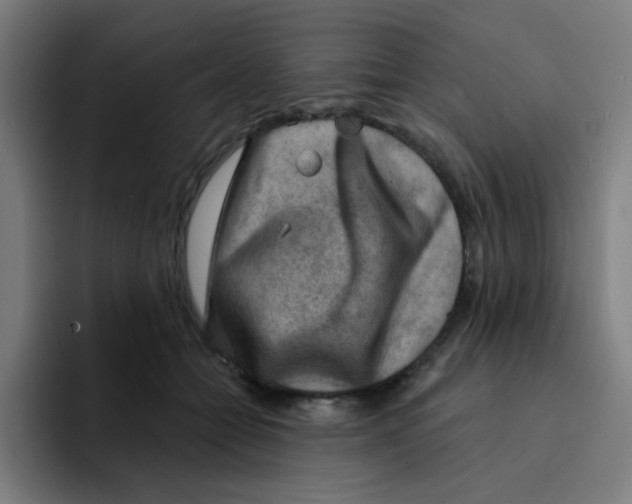 X0000094940558200712271615