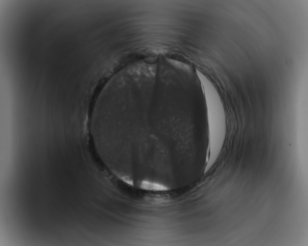 X0000094940559200712271615