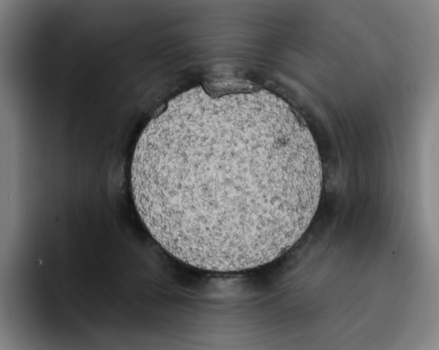 X0000094940560200712271615