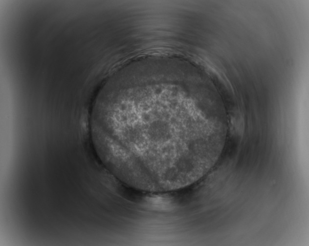 X0000094940561200712271615
