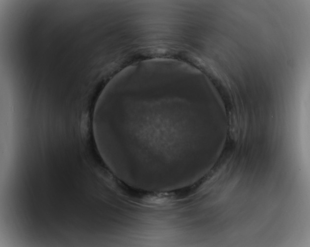 X0000094940563200712271615